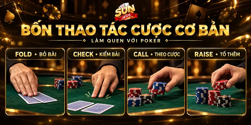 Bốn thao tác Fold, Check, Call và Raise trong poker.